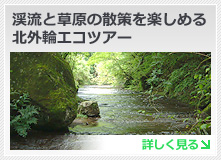 渓流と草原の散策を楽しめる北外輪エコツアー