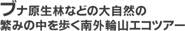 ブナ原生林などの大自然の繁みの中を歩く南外輪山エコツアー