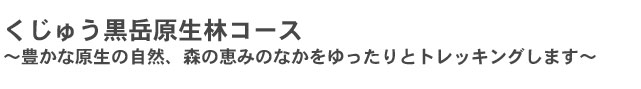 くじゅう黒岳原生林コース